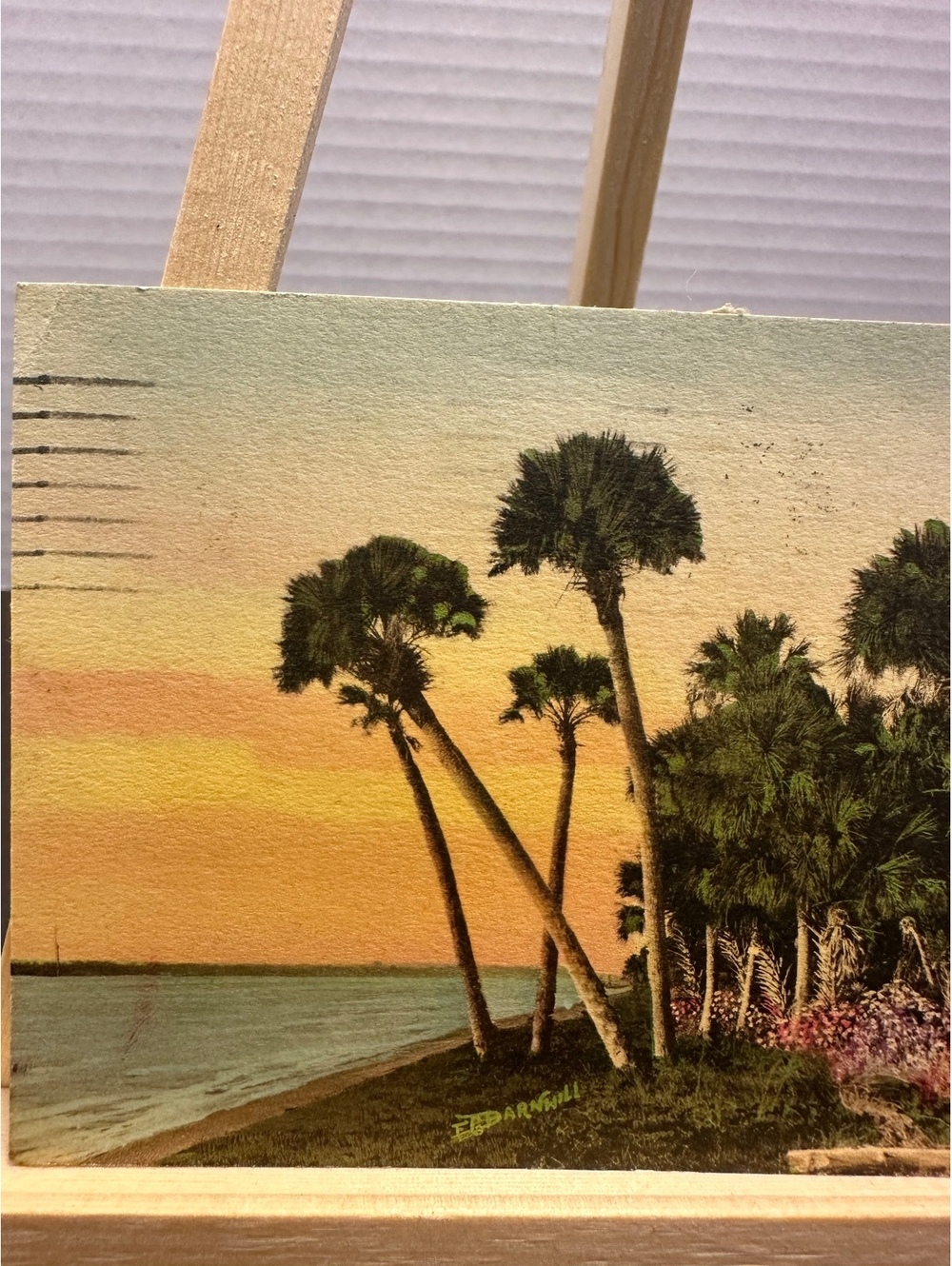 1932 St Petersburg Florida E G Barnhill palm trees vintage postcard - Picture 2 of 4